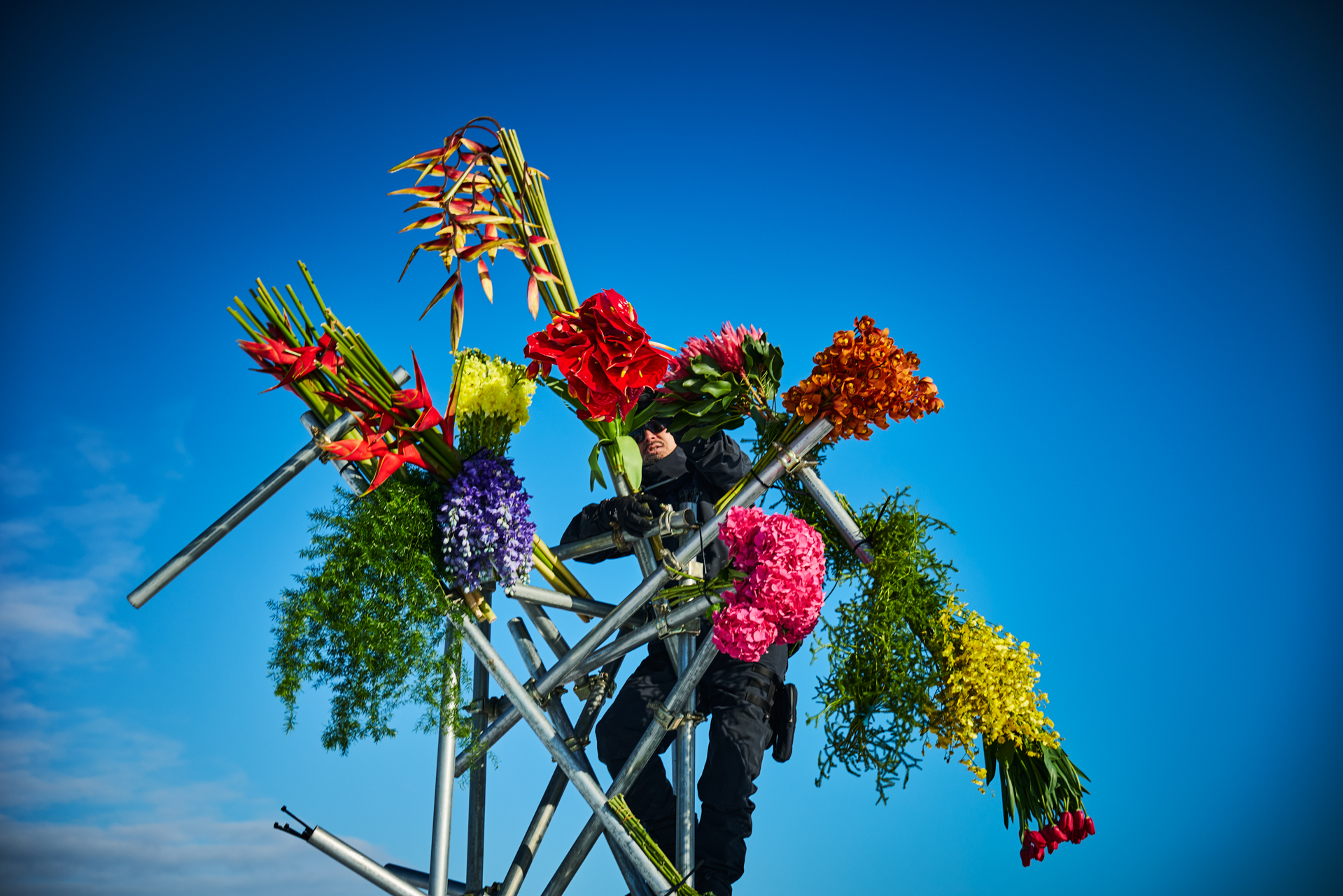 【新品・未開封品☆】 AMEFURASSHI FLORA ☆AMEFURASSHI 4th Album『Flora』豪華盤 通販開始のお知らせ